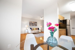 apartment-5037388