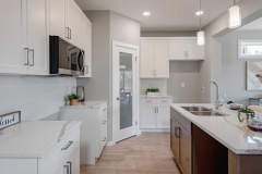 dg10dkitchen1